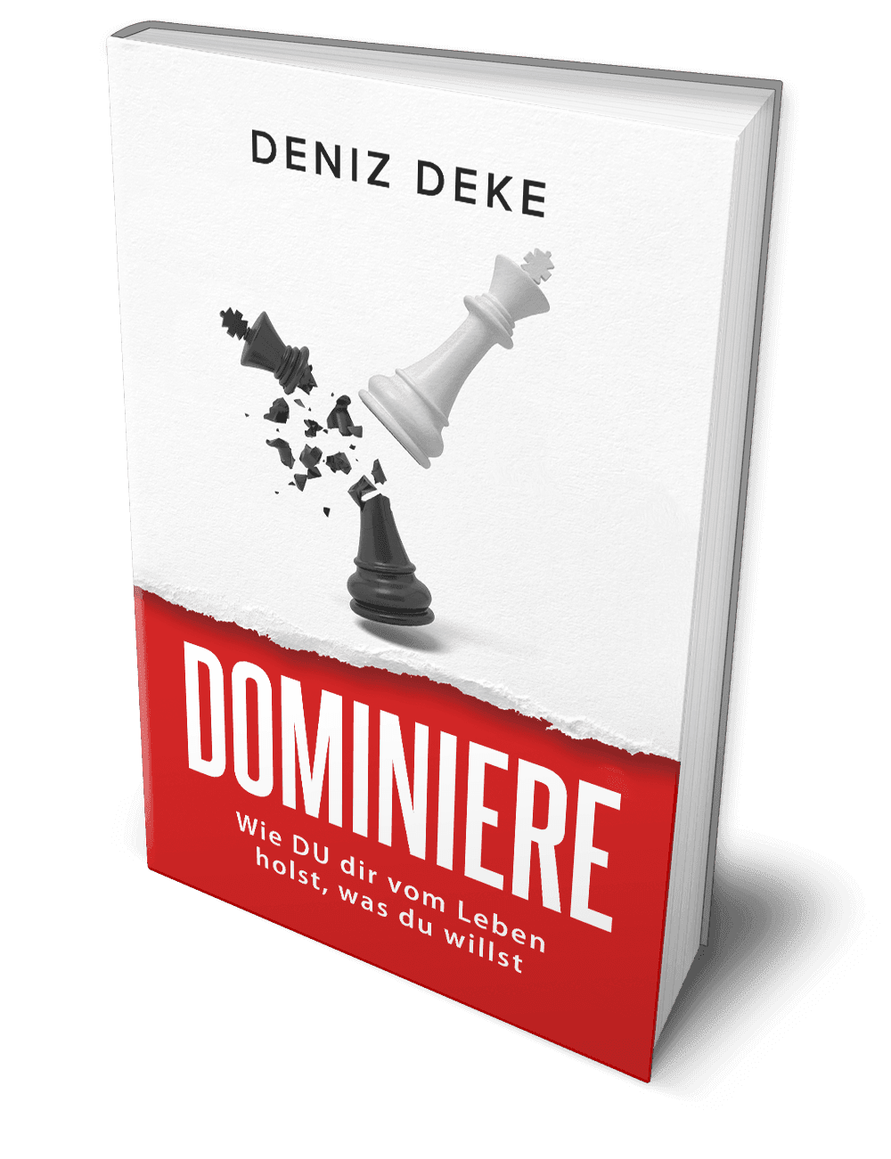 „Dominiere dein Leben” gratis anfordern – FAQ beantwortet die häufigsten Fragen zu Kosten, Versand und Bonus